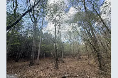 13 Hollis Norman Road, Washington, GA 30673 - Photo 22