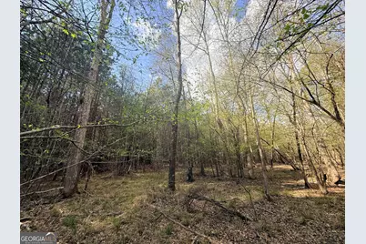 13 Hollis Norman Road, Washington, GA 30673 - Photo 18