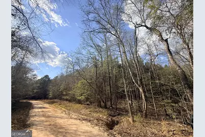 13 Hollis Norman Road, Washington, GA 30673 - Photo 16