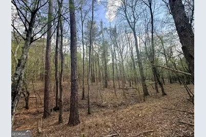 13 Hollis Norman Road, Washington, GA 30673 - Photo 26