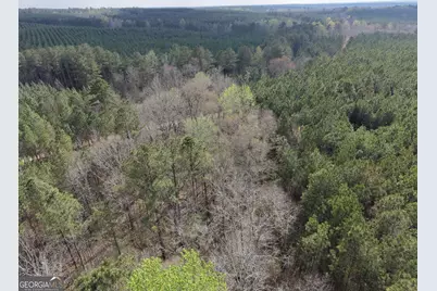 13 Hollis Norman Road, Washington, GA 30673 - Photo 12