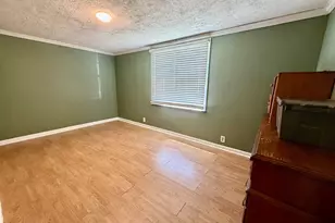 101 Durham St, Chauncey, GA 31011 - Photo 16