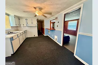 101 Durham Street, Chauncey, GA 31011 - Photo 6