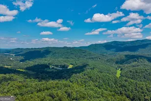 73 Rosiey Ln, Blue Ridge, GA 30513 - Photo 4