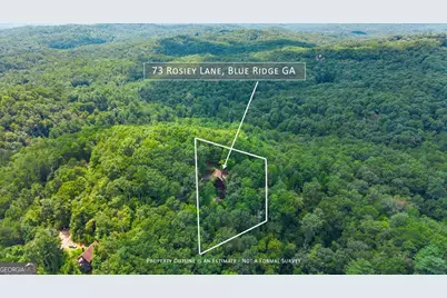 73 Rosiey Lane, Blue Ridge, GA 30513 - Photo 2