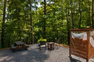 154 Nexus Ct, Ellijay, GA 30540 - Photo 4