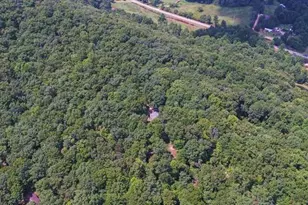 581 Ivy Knob Ln, Hayesville, NC 28904 - Photo 58