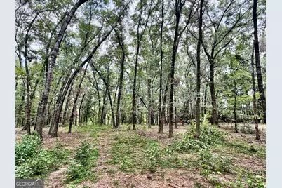 43 Rivermist Rd Road, Juliette, GA 31046 - Photo 10