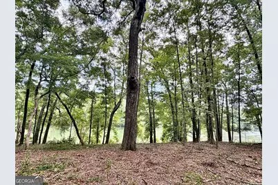 43 Rivermist Rd Road, Juliette, GA 31046 - Photo 14