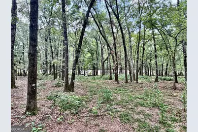43 Rivermist Rd Road, Juliette, GA 31046 - Photo 16