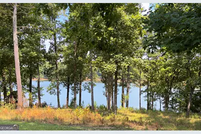 12609 Old Well Court, Hampton, GA 30228 - Photo 6