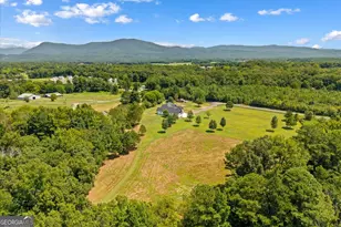 385 Wilson Rd, Chatsworth, GA 30705 - Photo 58