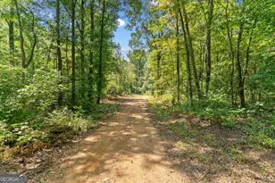 385 Wilson Rd, Chatsworth, GA 30705 - Photo 56