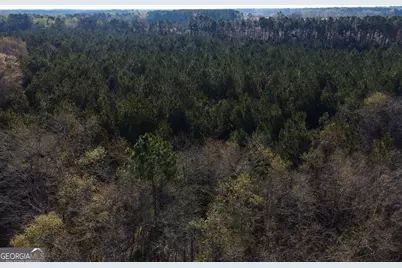0 Clifton Road, Statesboro, GA 30458 - Photo 2
