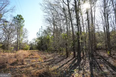 0 Clifton Road, Statesboro, GA 30458 - Photo 8