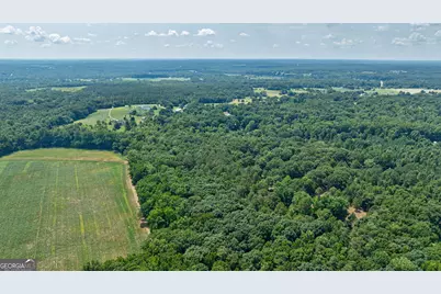 361 Meyer Farm Road, Winterville, GA 30683 - Photo 8
