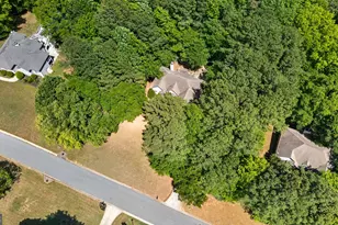 101 Line Creek Way, Sharpsburg, GA 30277 - Photo 44