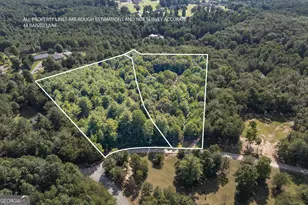 43 Baisto Ln, Blairsville, GA 30512 - Photo 26