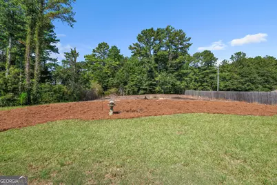 1019 Preserve Lane, Bethlehem, GA 30620 - Photo 54