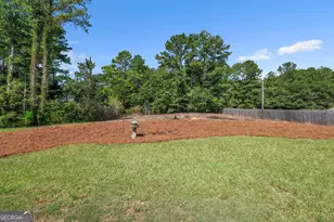 1019 Preserve Ln, Bethlehem, GA 30620 - Photo 54