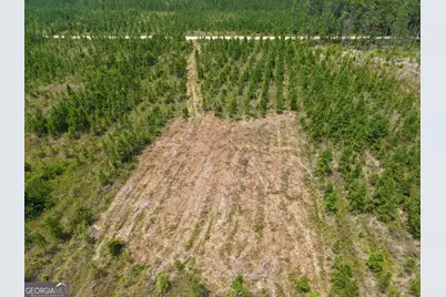 Tract 5 Owens Ferry Rd, White Oak, GA 31568 - Photo 2