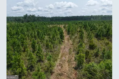 Tract 5 Owens Ferry Rd, White Oak, GA 31568 - Photo 32