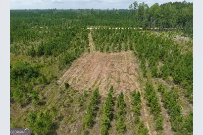Tract 5 Owens Ferry Rd, White Oak, GA 31568 - Photo 6