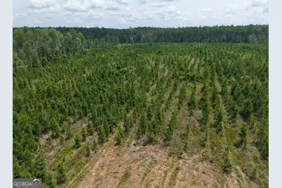 Tract 5 Owens Ferry Rd, White Oak, GA 31568 - Photo 38