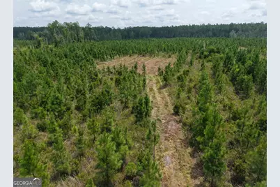 Tract 5 Owens Ferry Rd, White Oak, GA 31568 - Photo 34