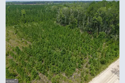 Tract 5 Owens Ferry Rd, White Oak, GA 31568 - Photo 28