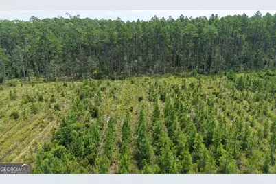 Tract 5 Owens Ferry Rd, White Oak, GA 31568 - Photo 22