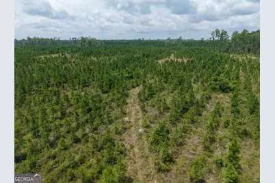 Tract 5 Owens Ferry Rd, White Oak, GA 31568 - Photo 10