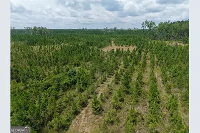 Tract 5 Owens Ferry Rd, White Oak, GA 31568 - Photo 12