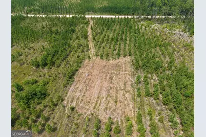 Tract 5 Owens Ferry Rd, White Oak, GA 31568 - Photo 8