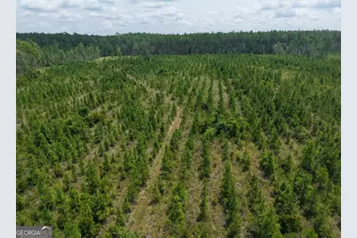 Tract 5 Owens Ferry Rd, White Oak, GA 31568 - Photo 40