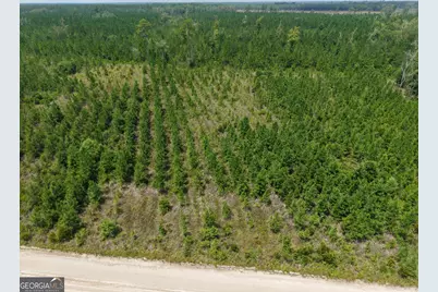 Tract 5 Owens Ferry Rd, White Oak, GA 31568 - Photo 26