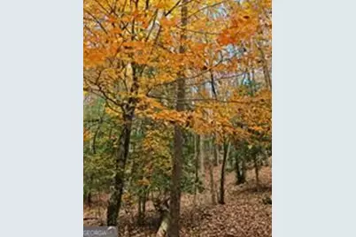 5 Goldmine Road, Morganton, GA 30560 - Photo 6