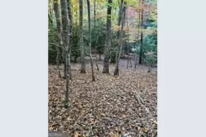 5 Goldmine Road, Morganton, GA 30560 - Photo 8