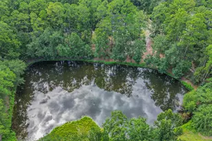 354 Long Pond Rd, Rincon, GA 31326 - Photo 60