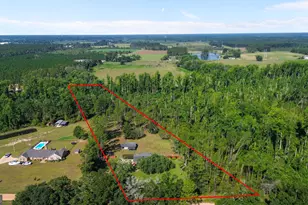 142 Sunfish Rd, Alma, GA 31510 - Photo 28