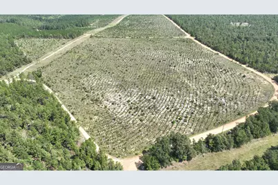 0 Mt. Horeb Church Road, Wrens, GA 30833 - Photo 1