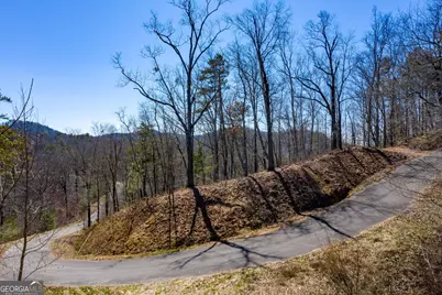 278 Carters Overlook Drive #28, Ranger, GA 30734 - Photo 10
