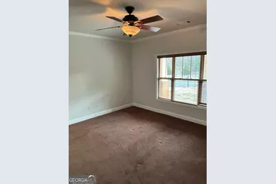 16 Plum Blossom Lane, Hampton, GA 30228 - Photo 26