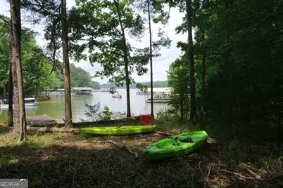121 Lake View Court, Lavonia, GA 30553 - Photo 16