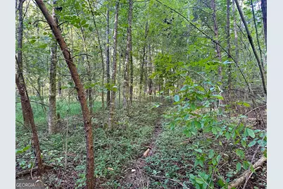 0 Piedmont Mountain Road, Clarkesville, GA 30523 - Photo 12