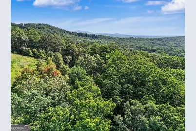 0 Piedmont Mountain Road, Clarkesville, GA 30523 - Photo 2