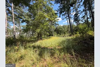 7 Sunhill Grange Road, Davisboro, GA 31018 - Photo 28