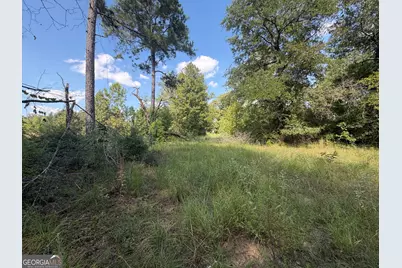 7 Sunhill Grange Road, Davisboro, GA 31018 - Photo 18