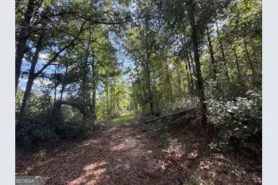 7 Sunhill Grange Road, Davisboro, GA 31018 - Photo 26