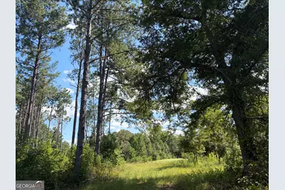 7 Sunhill Grange Road, Davisboro, GA 31018 - Photo 10